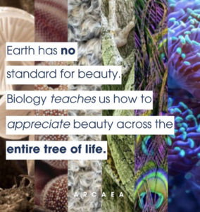 Arcaea: biotech x beauty